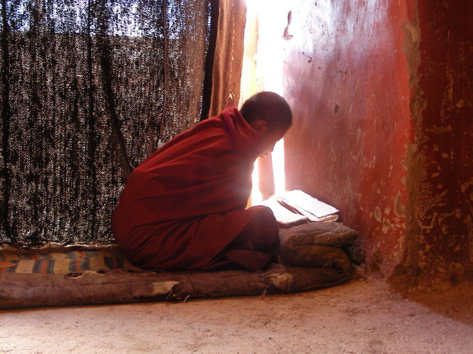 Novice Monk studying.